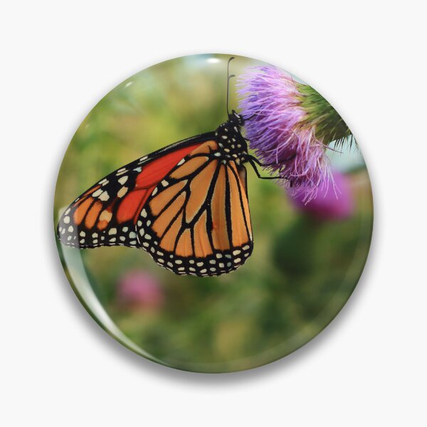 Item preview, Danaus plexippus on Cirsium vulgare designed and sold by outdoorstudio.