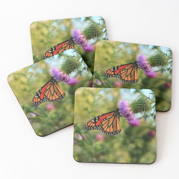 Item preview, Danaus plexippus on Cirsium vulgare designed and sold by outdoorstudio.