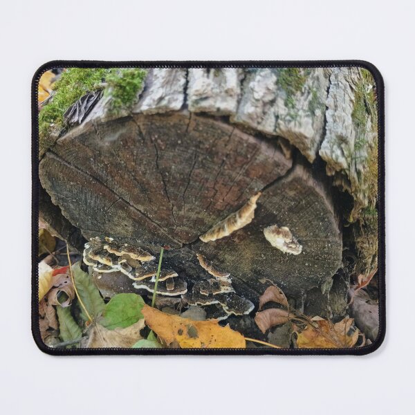 Item preview, Mushroom Log designed and sold by KranKran.