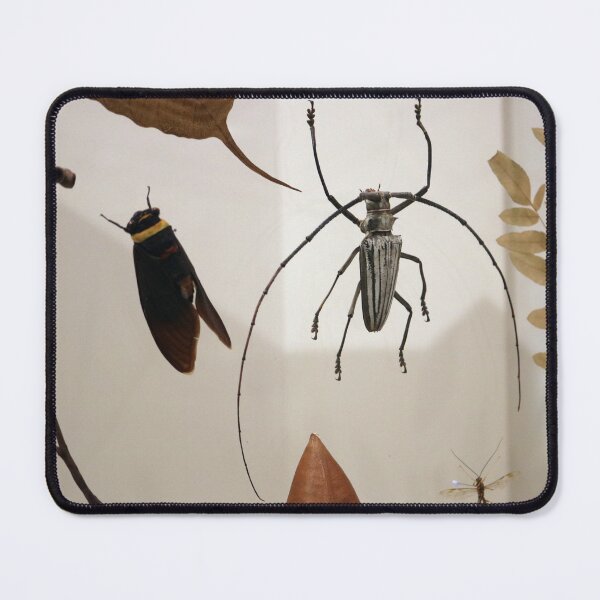 Item preview, Bugs designed and sold by KranKran.