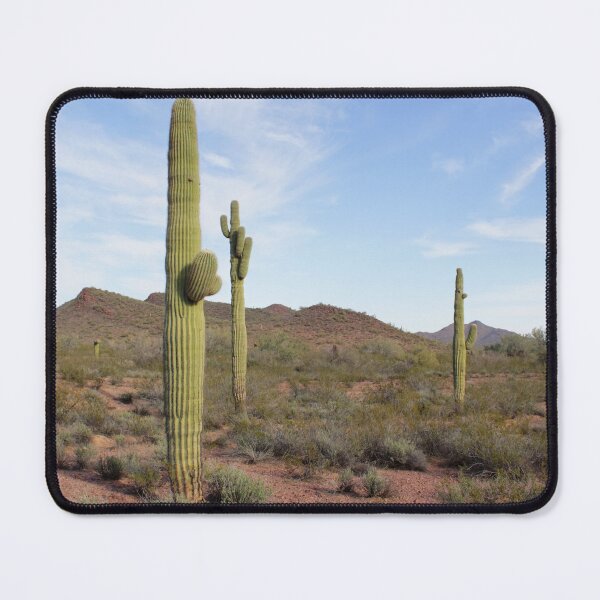 Item preview, Sonoran Desert Saguaro Sentinels - Carnegia gigantica designed and sold by outdoorstudio.
