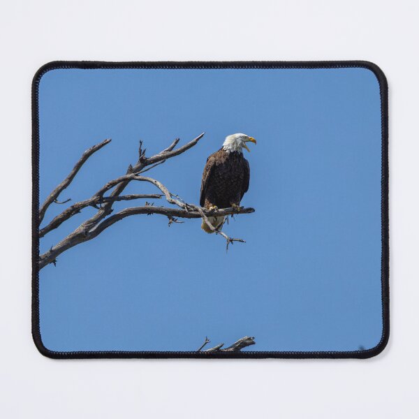 Item preview, Bald Eagle Warning An Intruder designed and sold by PsychoAlien.com.