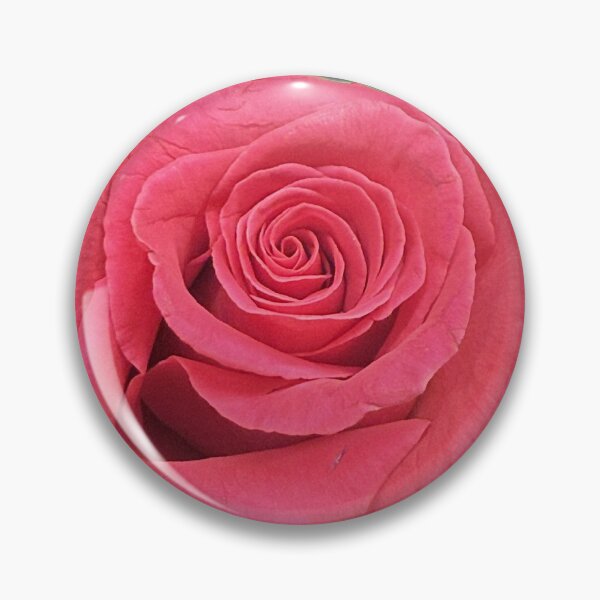 Item preview, Pink Rose Bloom Floral Botanical Macro Flower Photography designed and sold by aadventures.