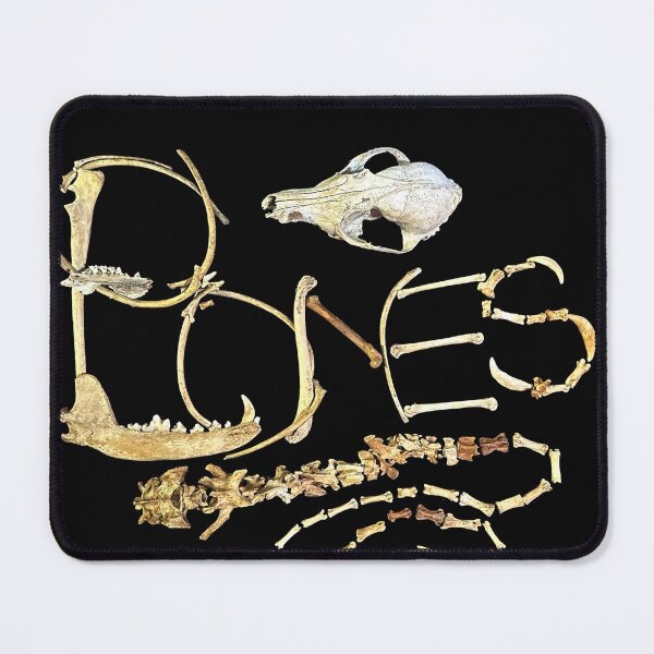 Item preview, BONES designed and sold by kamkam19.