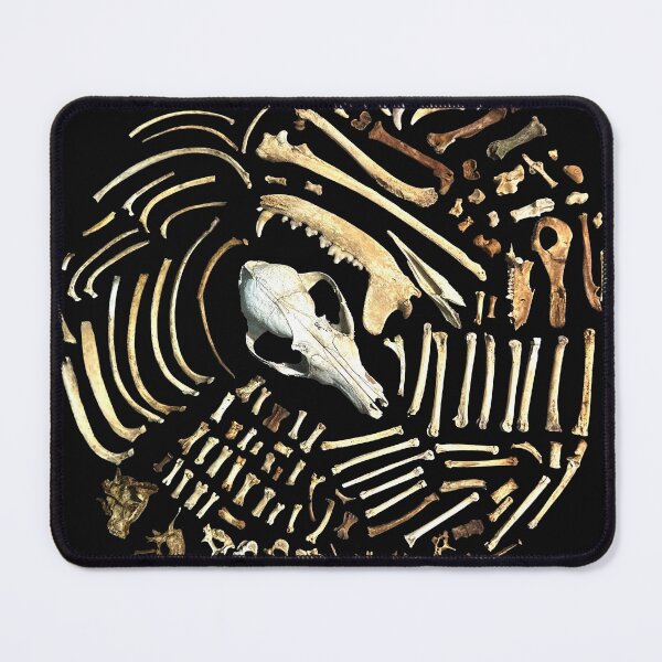 Item preview, Pile of Bones designed and sold by kamkam19.