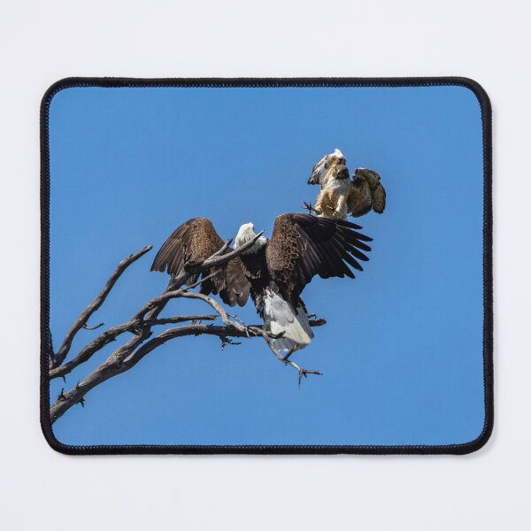 Item preview, Bald Eagle Scruffy Defends The Nest designed and sold by PsychoAlien.com.