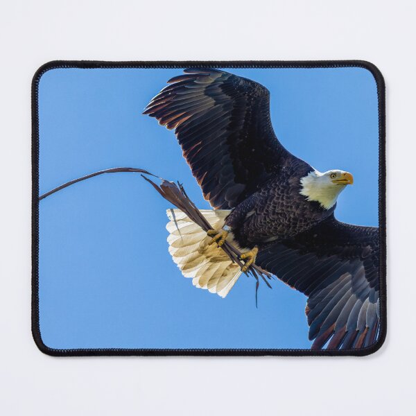 Item preview, Bald Eagle Builds The Family Nest In Orange County designed and sold by PsychoAlien.com.