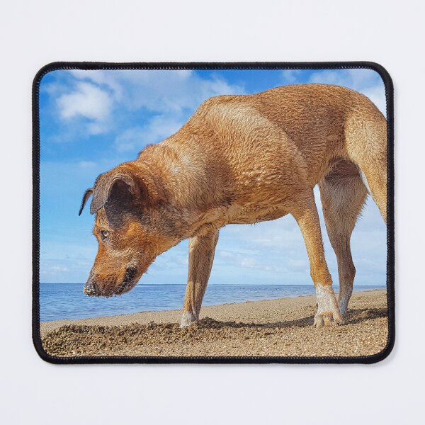 Item preview, Beach Day designed and sold by Alex Preiss.