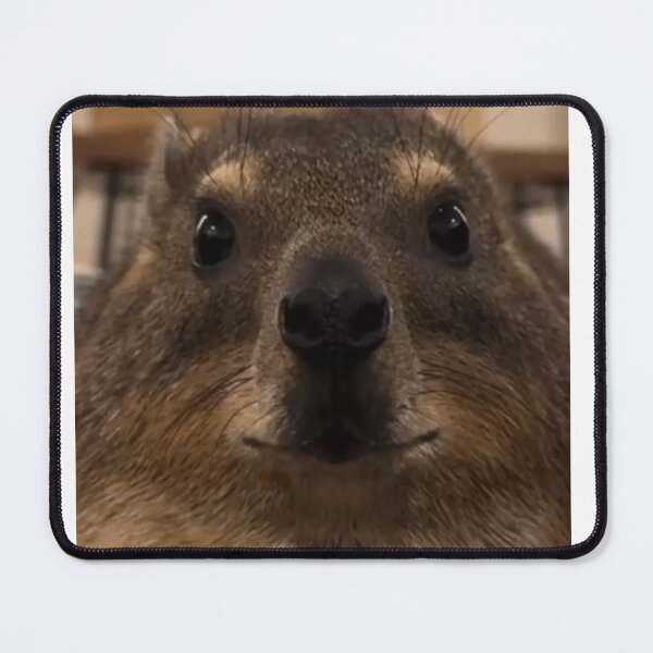 Item preview, smog hyrax face designed and sold by cloudzer0000.