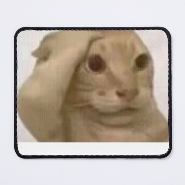 Item preview, bald cat meme designed and sold by cloudzer0000.