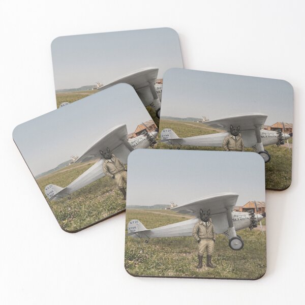 Item preview, A Flight Into Legend designed and sold by CJChronicles.
