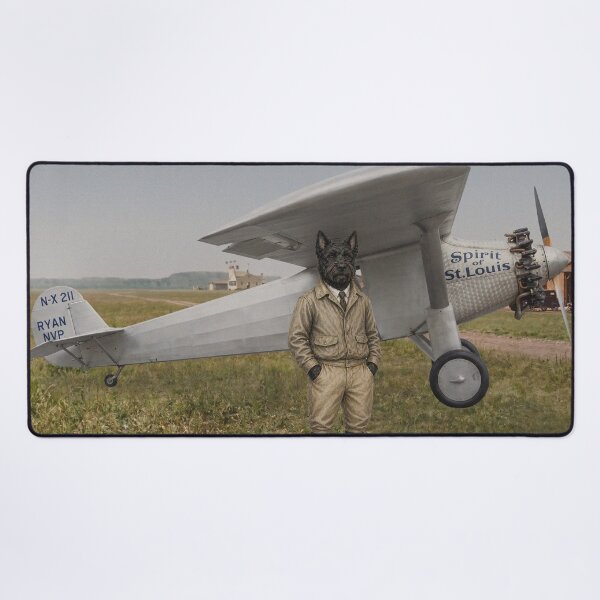Item preview, A Flight Into Legend designed and sold by CJChronicles.
