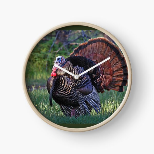 Tom Turkey - Wild Turkey Clock