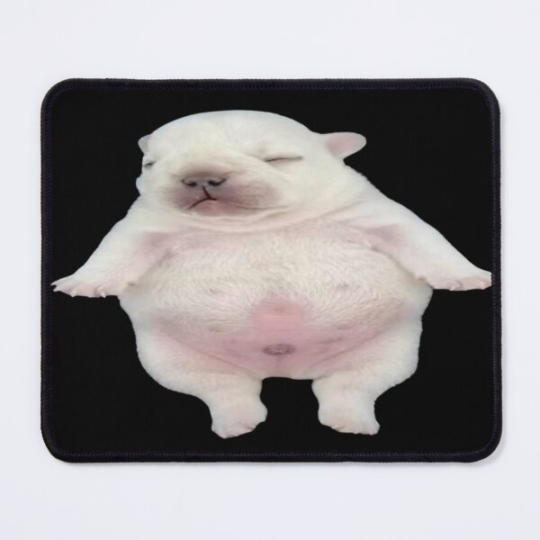 Item preview, Pibble, a chubby little dog, is sleeping. designed and sold by NF Designs Studio DTF.