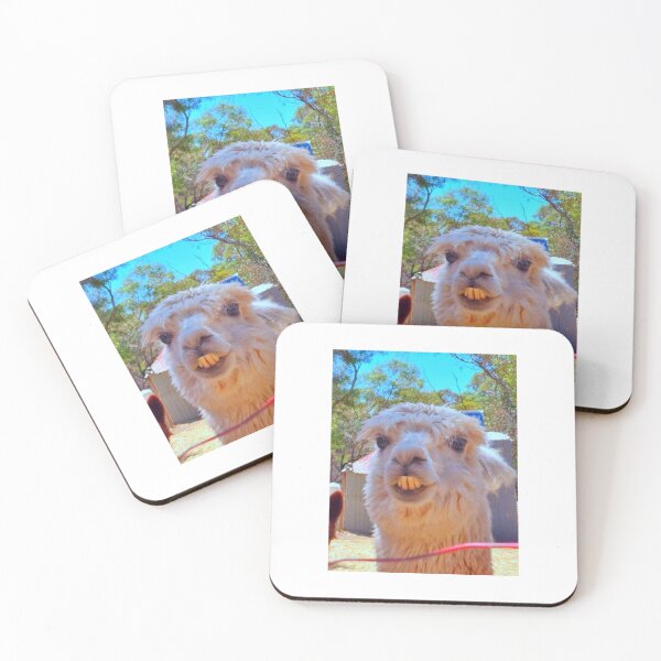Item preview, Alpaca designed and sold by CJ Art & Photography .