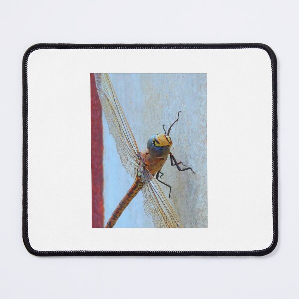 Item preview, dragonfly designed and sold by CJ Art & Photography .