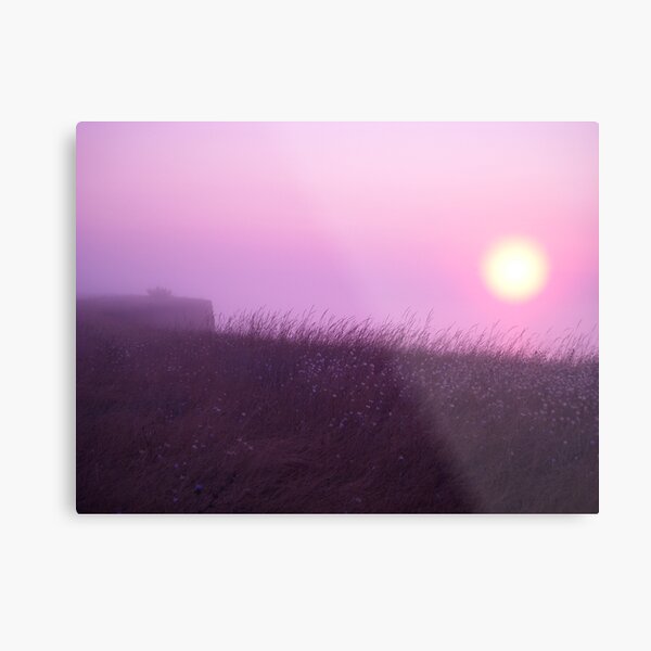Early Morning in the Fog Metal Print