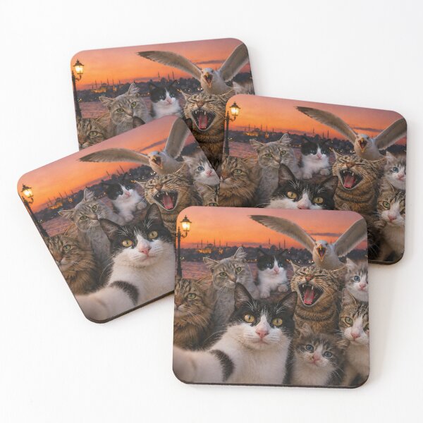 Item preview, istanbul Cats Taking a Selfie – Seagull Photobomb Moment designed and sold by Pacika.