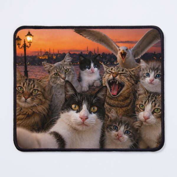 Item preview, istanbul Cats Taking a Selfie – Seagull Photobomb Moment designed and sold by Pacika.