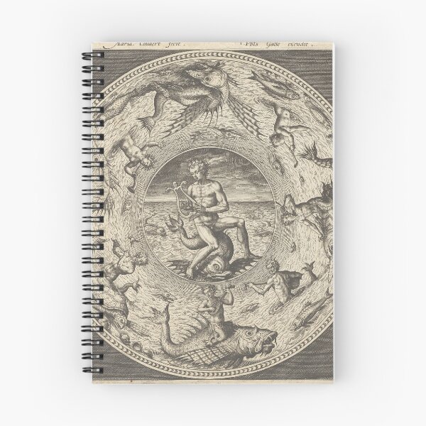 Item preview, Collaert Arion on Dolphin | Marine Life designed and sold by GammaRay.