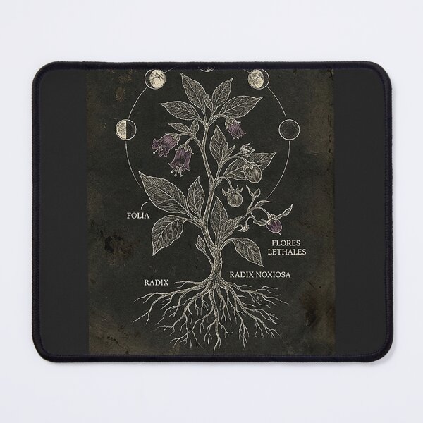 Item preview, Vintage Belladonna Botanical Moon Phase Illustration designed and sold by rygenr8.