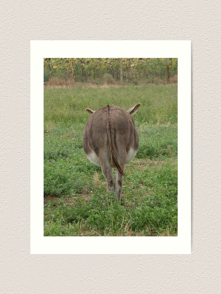 Thumbnail 1 of 3, Art Print, Donkey with an attitude designed and sold by Anthropolog.