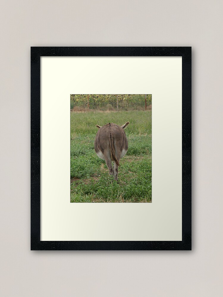 Thumbnail 1 of 7, Framed Art Print, Donkey with an attitude designed and sold by Anthropolog.