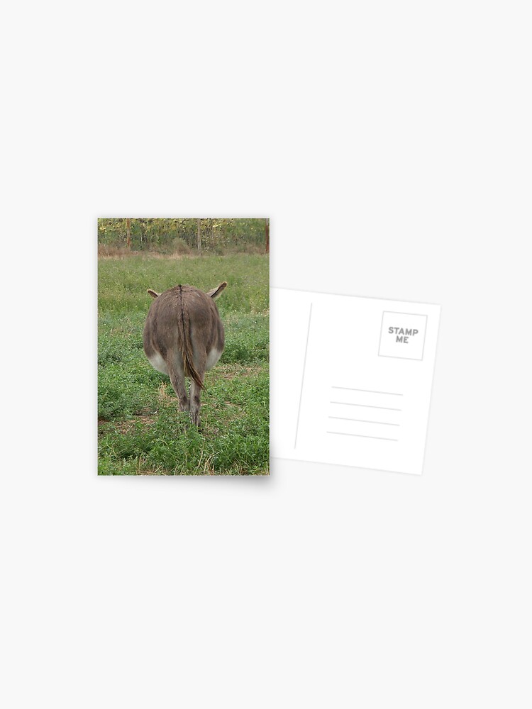 Thumbnail 1 of 2, Postcard, Donkey with an attitude designed and sold by Anthropolog.