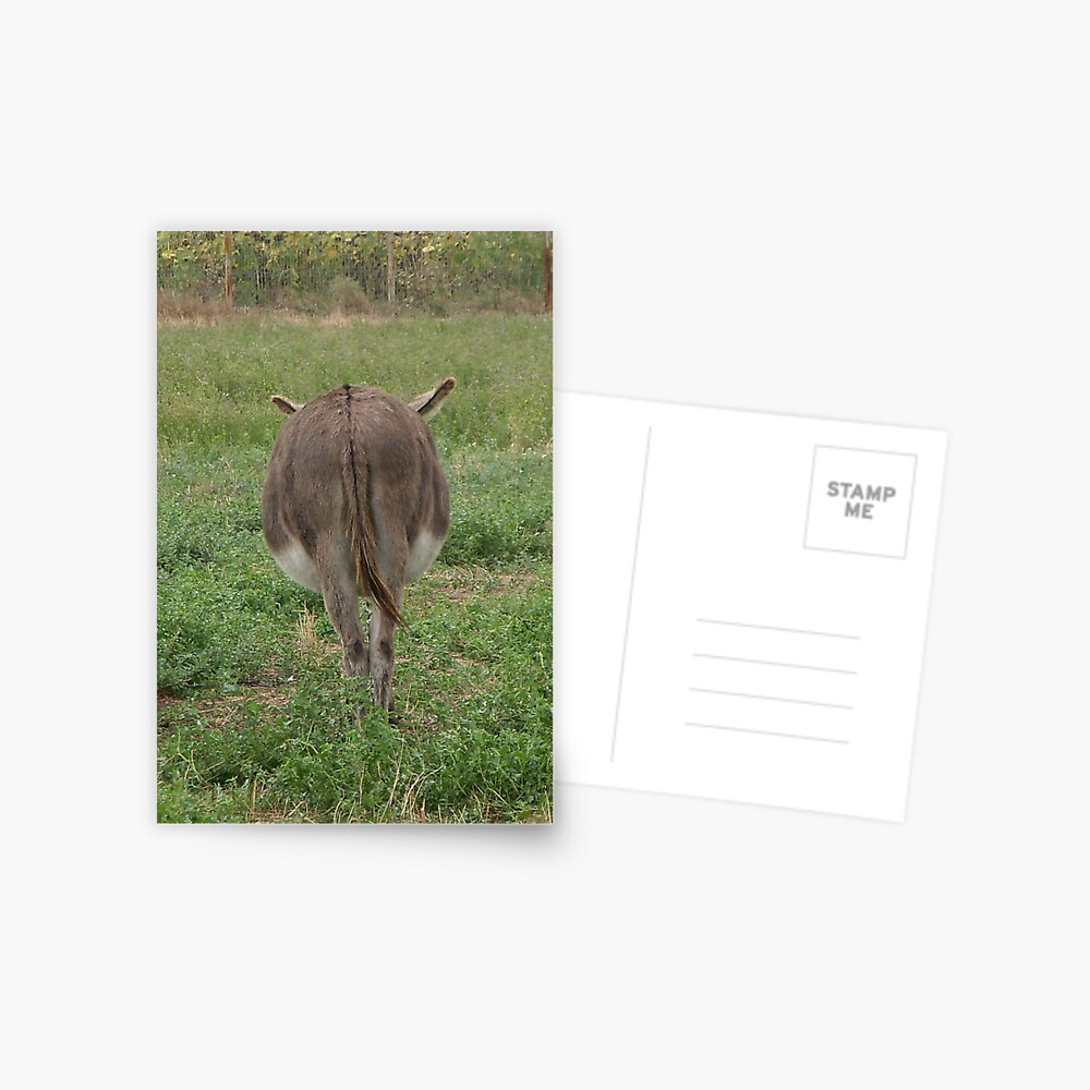 Item preview, Postcard designed and sold by Anthropolog.