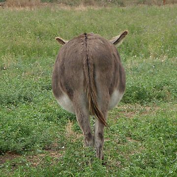 Artwork thumbnail, Donkey with an attitude by Anthropolog