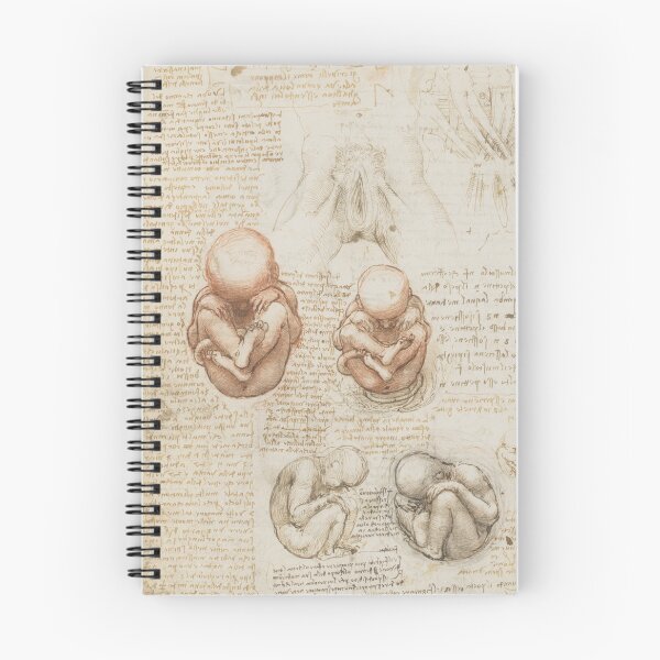 Item preview, R the Fetus and the Muscles Attached to the Pelvis by Leonardo da Vinci: Anatomical Study Poster designed and sold by artofuniverse.