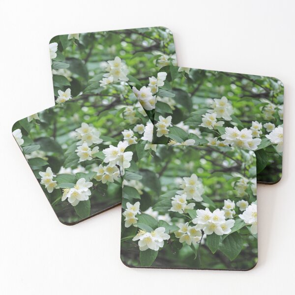 Artikelvorschau, Frische Jasminblüten im Garten entworfen und verkauft von AsahiNoAme.