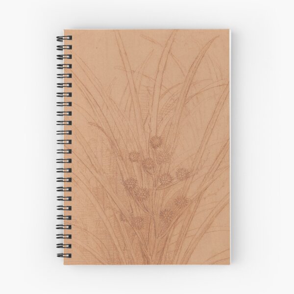 Item preview, Recto a Branched Bur Reed Verso a Bullrush by Leonardo da Vinci: Botanical Study Poster designed and sold by artofuniverse.
