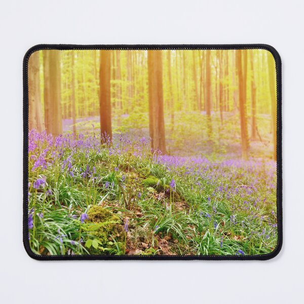 Item preview, Blue forest in sunny evening designed and sold by AsahiNoAme.