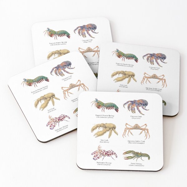 Item preview, Exotic crustacean species designed and sold by ArunDandiboina.