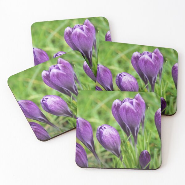Item preview, Spring crocuses designed and sold by AsahiNoAme.