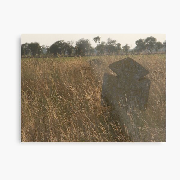 Memento Mori Metal Print