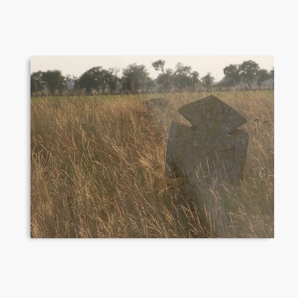 Memento Mori Metal Print