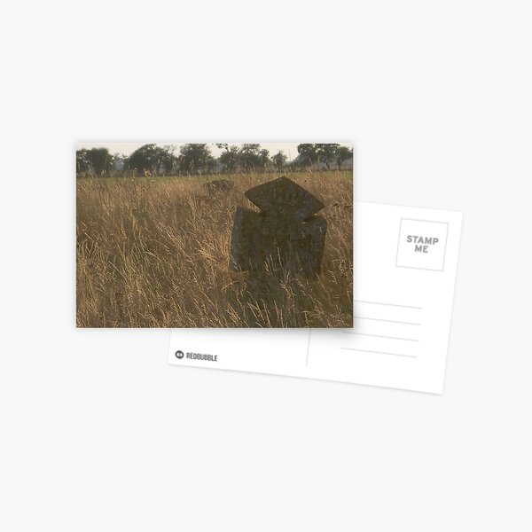 Memento Mori Postcard