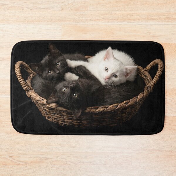 Item preview, Three Cute Kittens Resting in a Wicker Basket designed and sold by jeugenet.