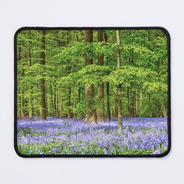 Item preview, Beautiful blue forest designed and sold by AsahiNoAme.