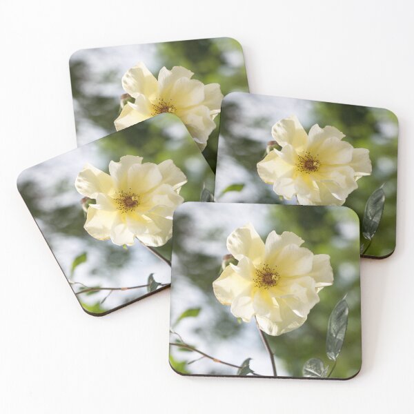 Item preview, Single Blooming Wild Rose in Soft Yellow designed and sold by Georgia Mizuleva.