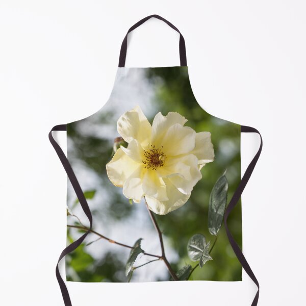 Item preview, Single Blooming Wild Rose in Soft Yellow designed and sold by Georgia Mizuleva.
