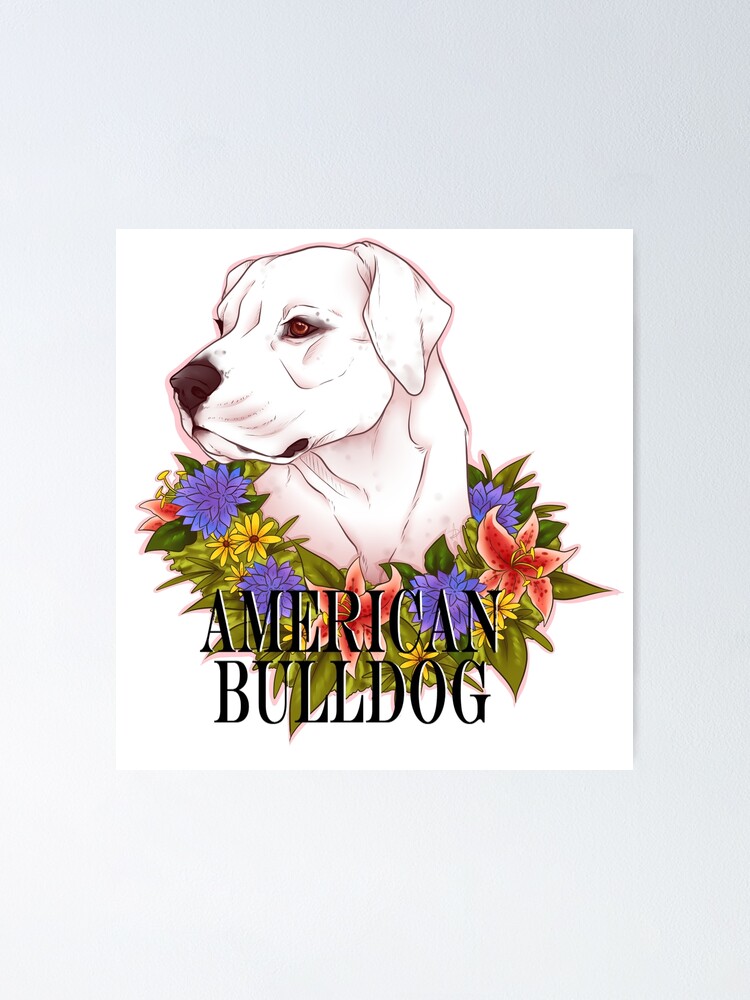 American Bulldog Standard Type Poster By Xarmadex Redbubble