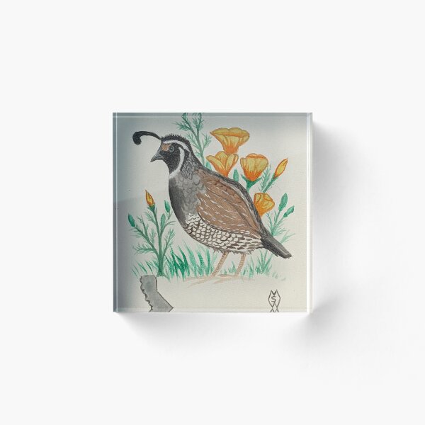 Item preview, California state bird & flower, the California quail & California poppy designed and sold by Matt Starr Fine Art .