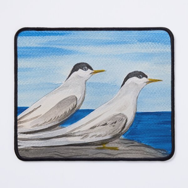 Item preview, Arctic terns on the tundra coast  designed and sold by Matt Starr Fine Art .