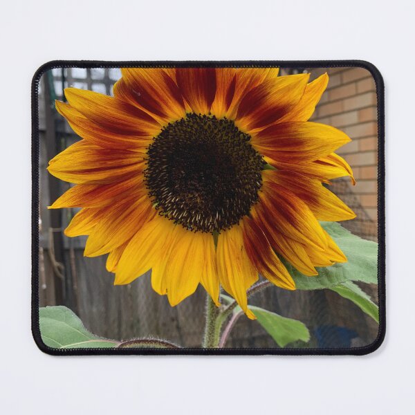 Item preview, Sunflower designed and sold by Burrow101.