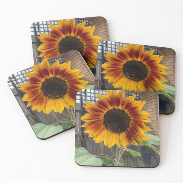 Item preview, Sunflower designed and sold by Burrow101.