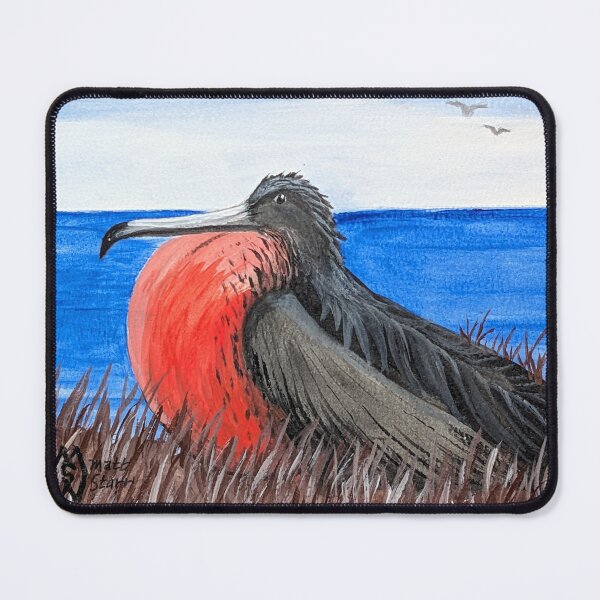 Item preview, Magnificent frigatebird on the coast  designed and sold by Matt Starr Fine Art .