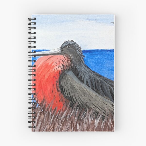Item preview, Magnificent frigatebird on the coast  designed and sold by Matt Starr Fine Art .